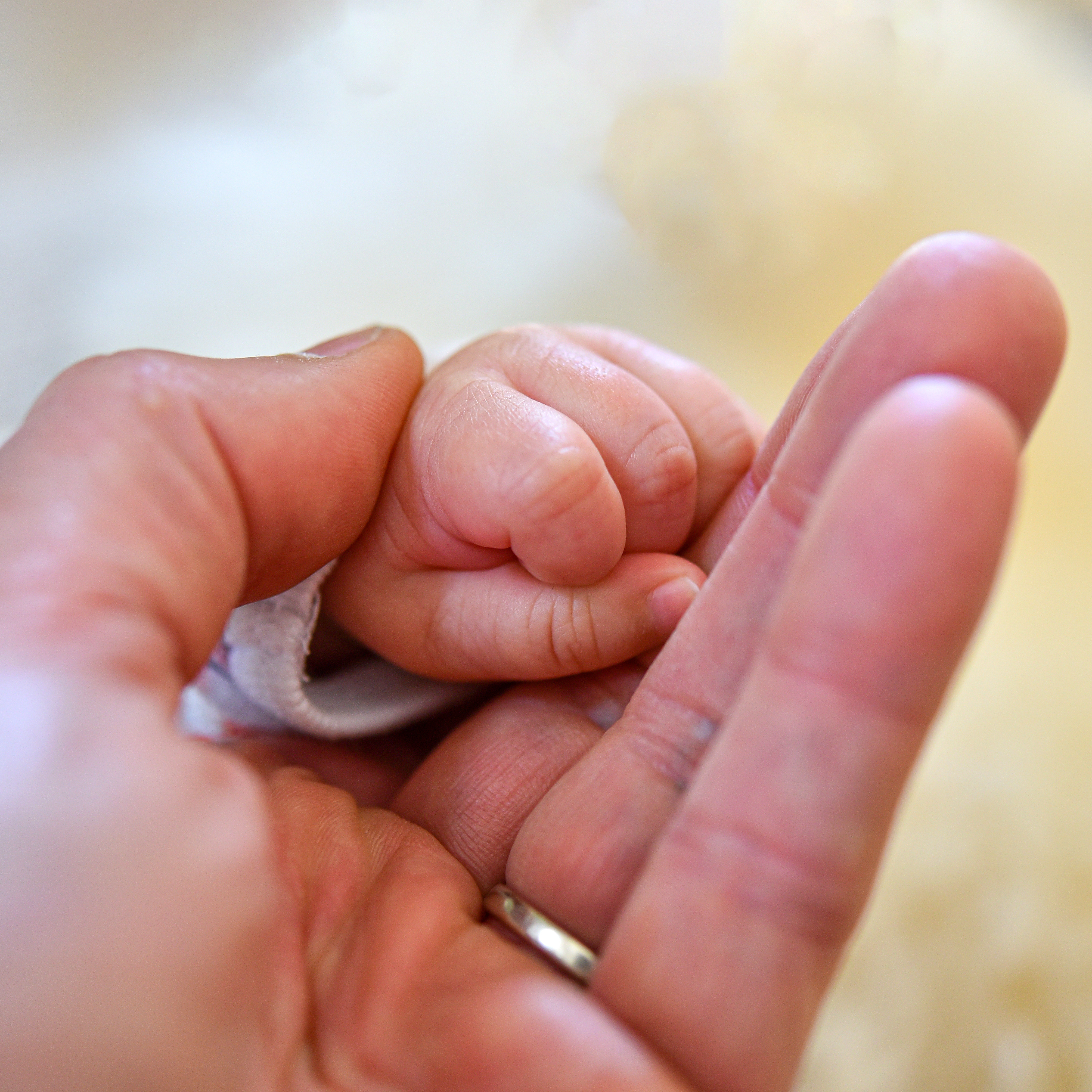 Andacht zum 12. April 2026